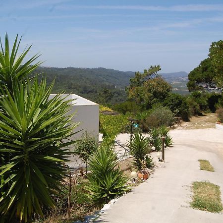 A Perfect Villa With Pool Terrace And Garden Alcobaça Екстериор снимка