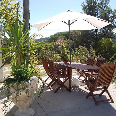 A Perfect Villa With Pool Terrace And Garden Alcobaça Екстериор снимка