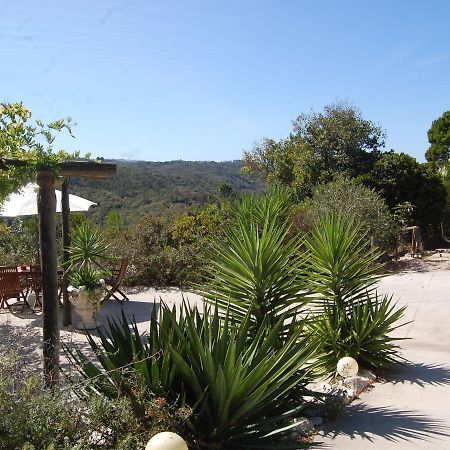A Perfect Villa With Pool Terrace And Garden Alcobaça Екстериор снимка