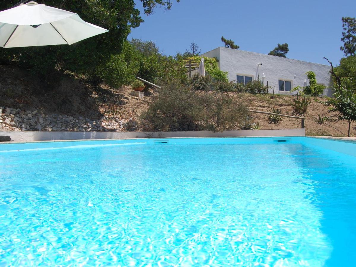 A Perfect Villa With Pool Terrace And Garden Alcobaça Екстериор снимка