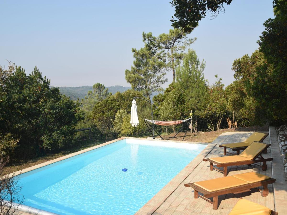 A Perfect Villa With Pool Terrace And Garden Alcobaça Екстериор снимка