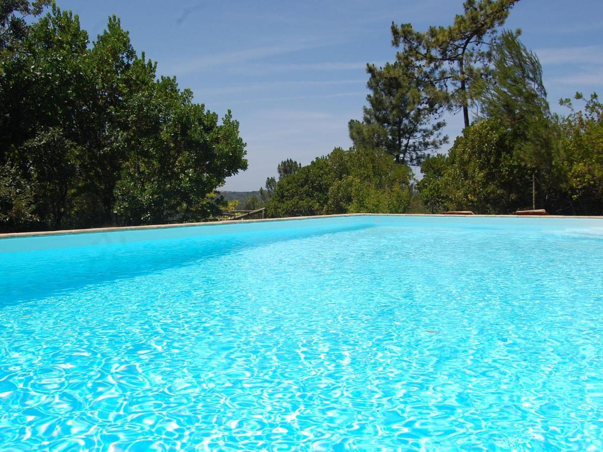 A Perfect Villa With Pool Terrace And Garden Alcobaça Екстериор снимка