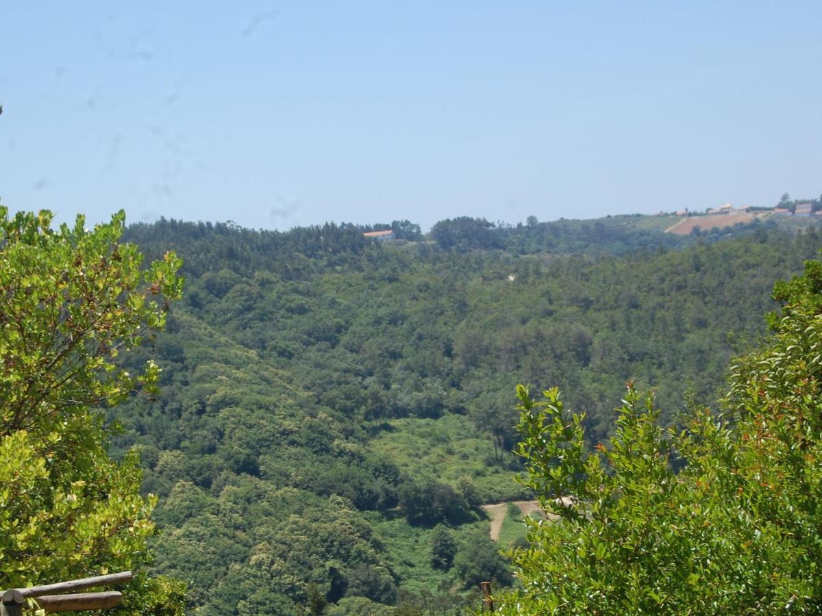 A Perfect Villa With Pool Terrace And Garden Alcobaça Стая снимка